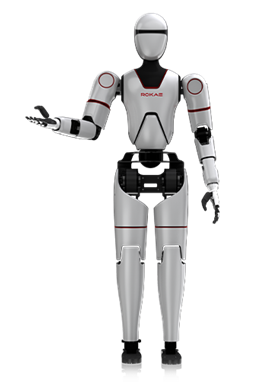 Humanoid Robot Human.X