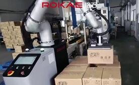 AC米兰协作码垛典型应用：清洁用品纸箱码垛